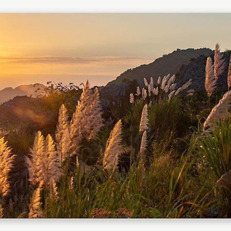 Cat Ba Island Garden Homestay - Papillon Exterior foto