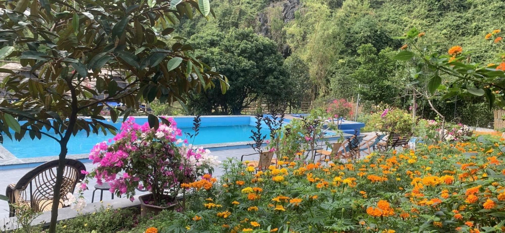 Cat Ba Island Garden Homestay - Papillon Exterior foto