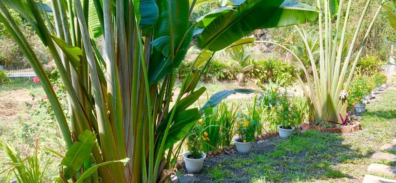 Cat Ba Island Garden Homestay - Papillon Exterior foto
