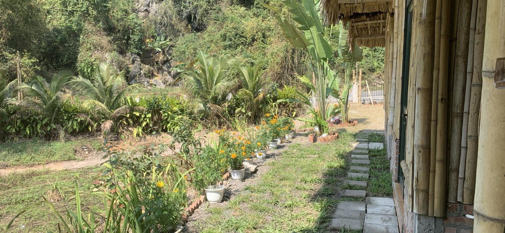 Cat Ba Island Garden Homestay - Papillon Exterior foto