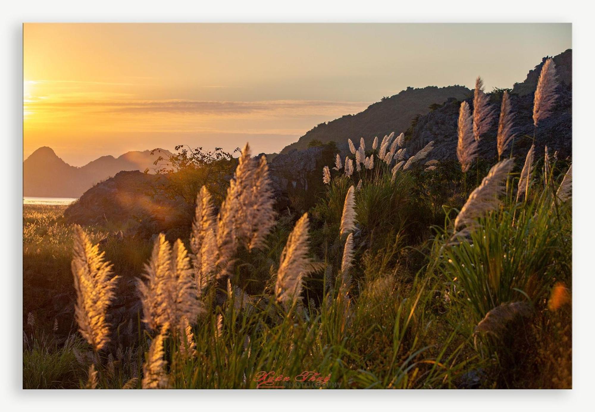 Cat Ba Island Garden Homestay - Papillon Exterior foto