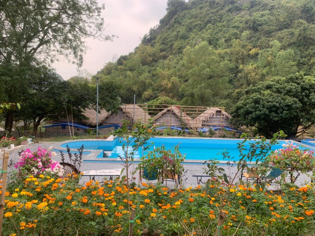 Cat Ba Island Garden Homestay - Papillon Exterior foto